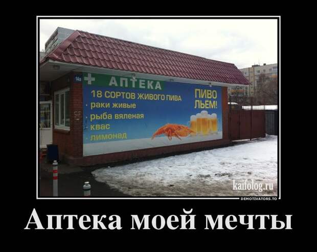 Демотиваторы про пиво (60 штук)