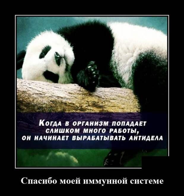 demotivatory-demotivator-smeshnye-demotivatory-demotivator-so-smyslom