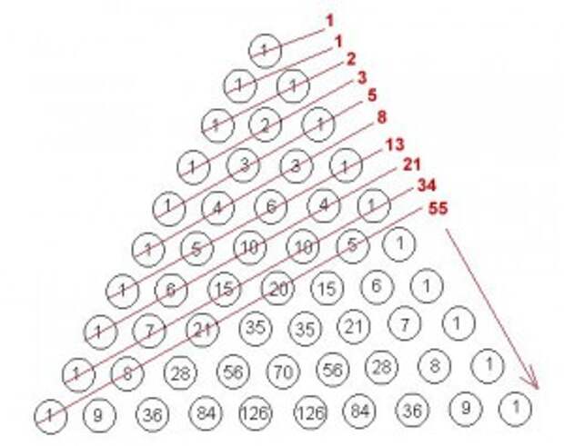 Последовательность 1 2 3 5 8 13. Треугольник Паскаля и числа Фибоначчи. Ряд Фибоначчи треугольник Паскаля. Числа Фибоначчи пирамида. Числа Фибоначчи треугольник.