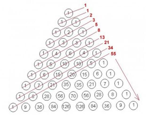 1 2 3 5 8 13. Ряд Фибоначчи треугольник Паскаля. Треугольник Паскаля и числа Фибоначчи. Числа Фибоначчи пирамида. Треугольник Паскаль сечение.