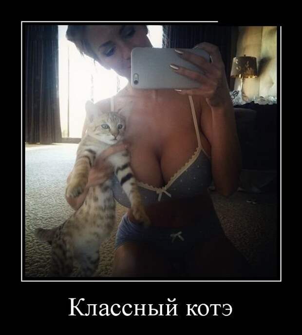 Прикольные и смешные фото девушки, животные, коты, прикол, юмор