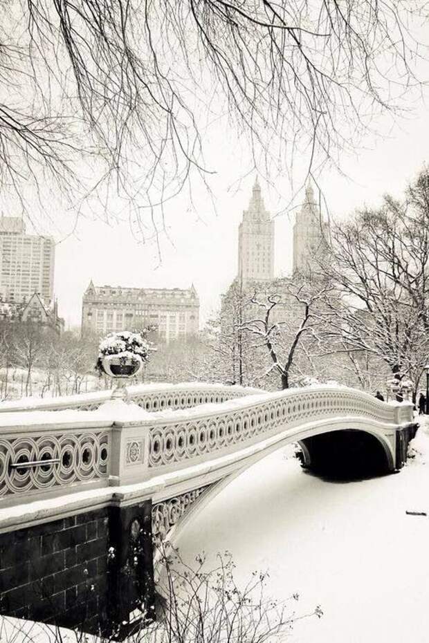17 фотографий, которые доказывают, что зима - прекрасное время года