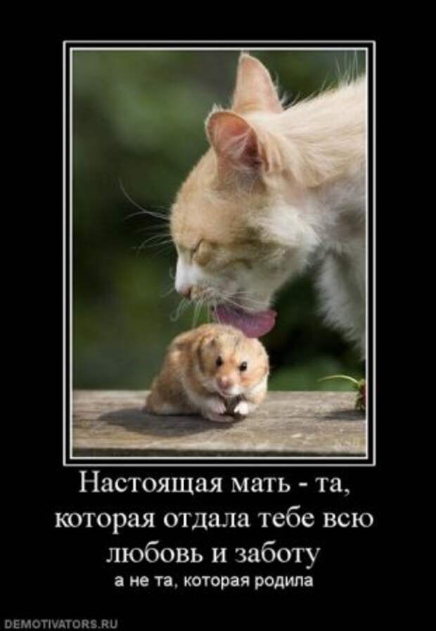 Демотиваторы серьезные, читать под настроение.