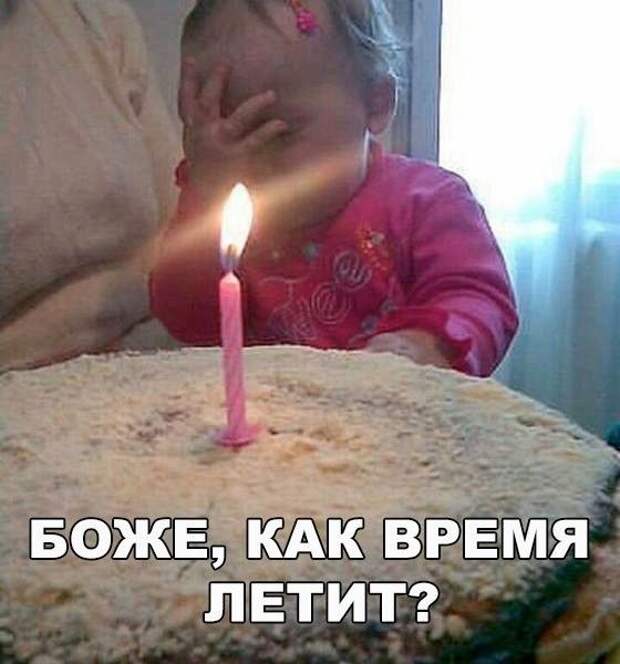 Картинки со смешными подписями (20 фото)