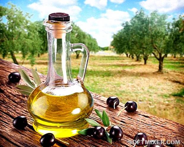 Секреты оливкового масла
