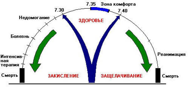 Наслаждение в свете кислотно-щелочной теории