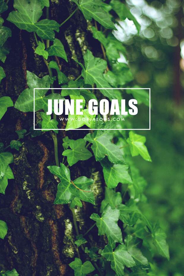 June-Goals-2015.png