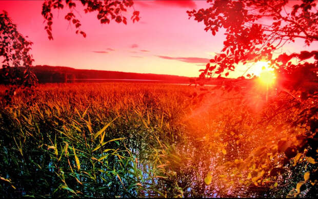 a_warm_summer_evening_by_kariliimatainen-d5u7kpf (700x439, 490Kb)
