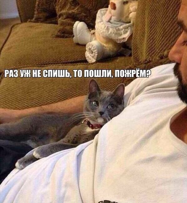 Подборка прикольных фото №1269 (109 фото)