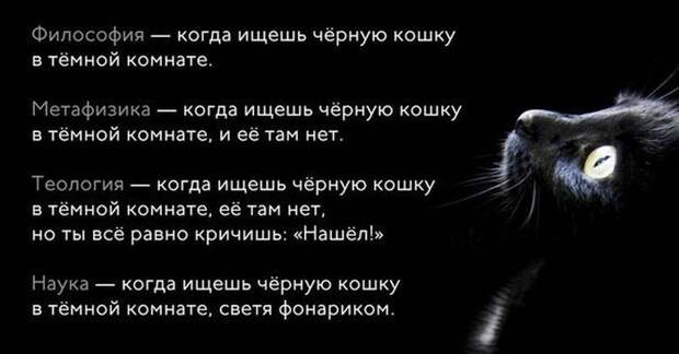 кот
