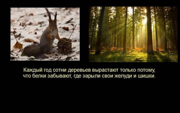 Мир удивителен, господа! Мир удивителен, господа! интересное, мир, невероятное