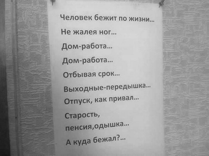 Надписи и объявления на наших улицах (41 фото)