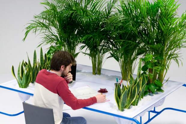 office work with plants