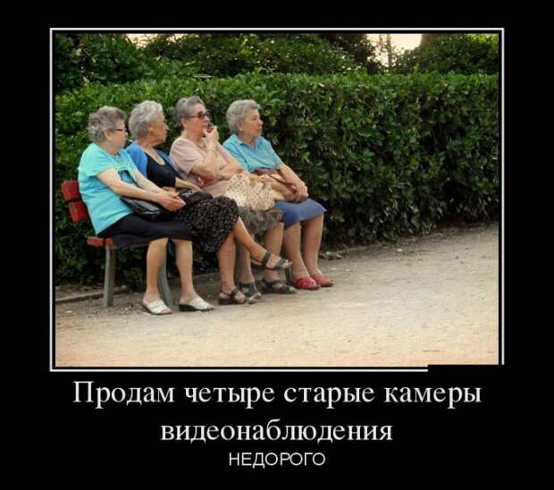 Демотиваторы (30 фото)