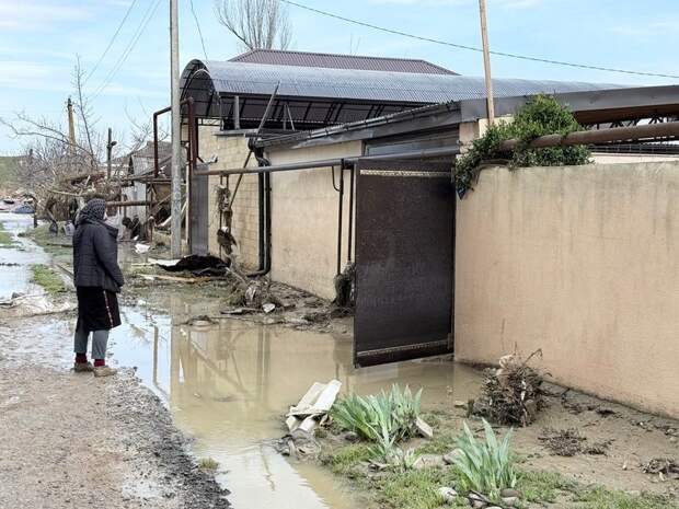 Путин потребовал оказать поддержку пострадавшим от паводка в Дагестане