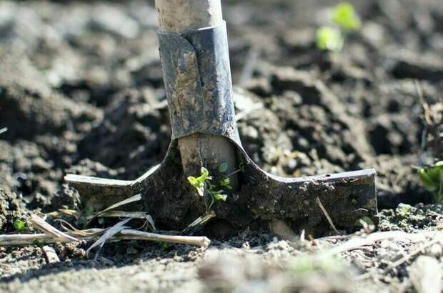 Поисковики лицея-интерната «Феникс» нашли обломки самолета времен ВОВ