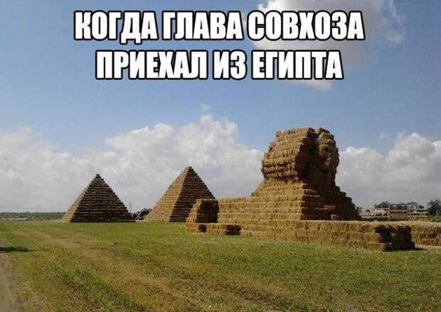 Смехопанорама. Лучшая подборка