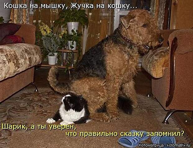 6312a730c5b9724c229db074af4e8640