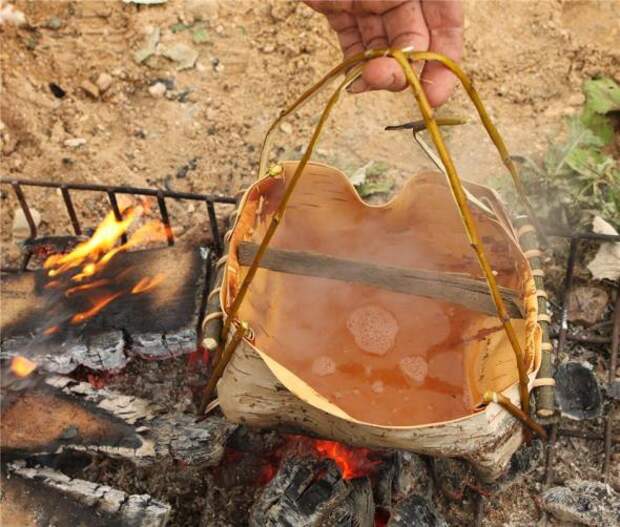 Можно ли вскипятить воду в котелке, сделанном из берёзовой коры? бареза, кора, котелок