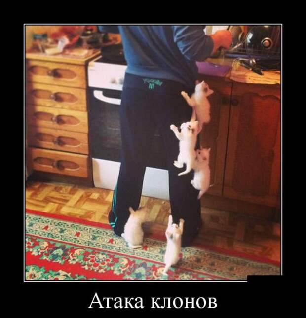 Подборка демотиваторов демотиваторы, юмор