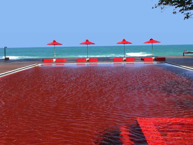 the-pool-at-the-library-in-koh-samui-thailand-is-lined-with-blood-red-tiles-to-make-for-a-stunning-visual-effect