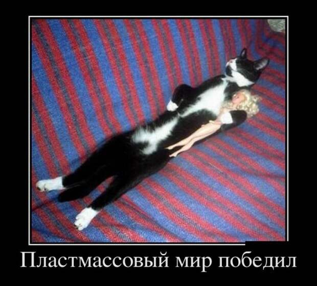 Демотиваторы (30 фото)