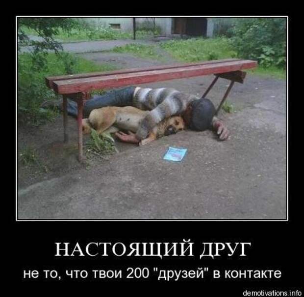 Самые убойные демотиваторы только прикольные.