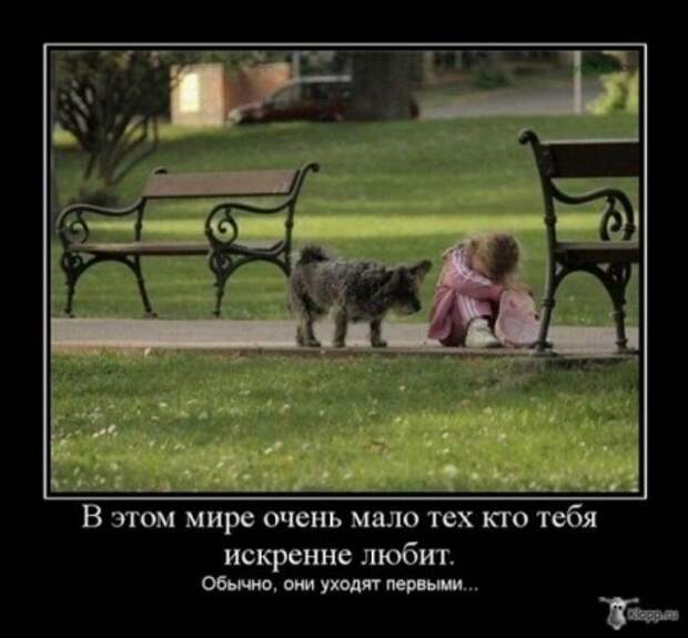 Демотиваторы со смыслом про одиночество, фото плюс текст.