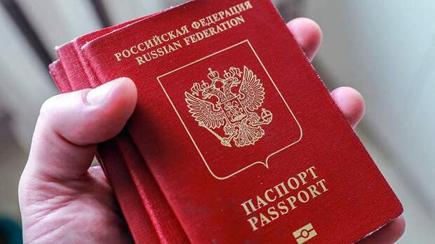 Вице-президент РСТ Горин сообщил о росте количества изъятий паспортов на границе