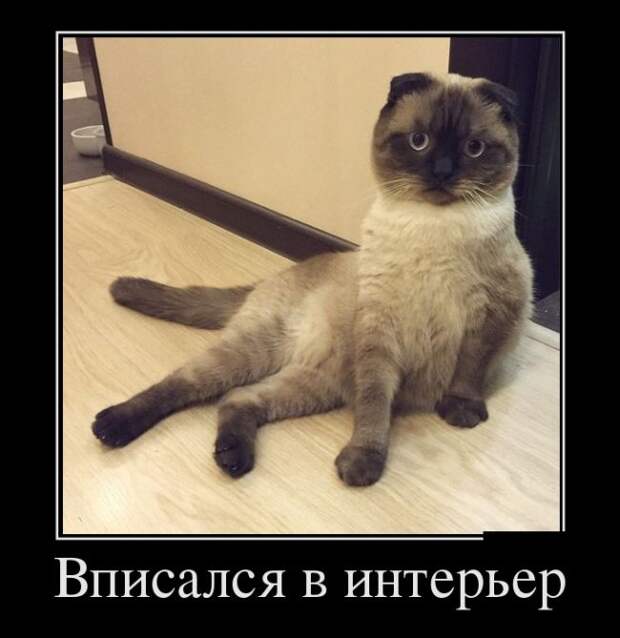 Демотиваторы (30 фото)