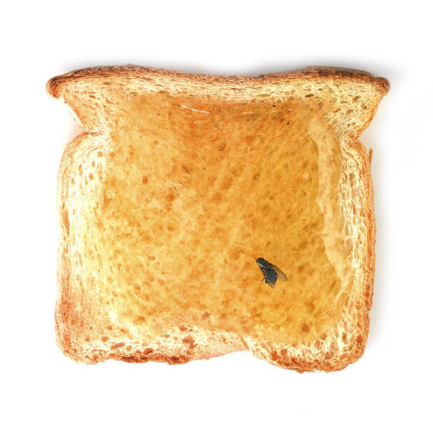 Тостер на прокачку: 16 самых вкусных мужских тостов