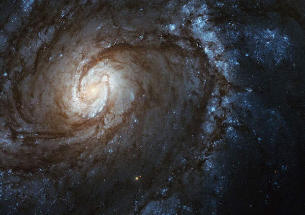 Спиральная галактика M 100