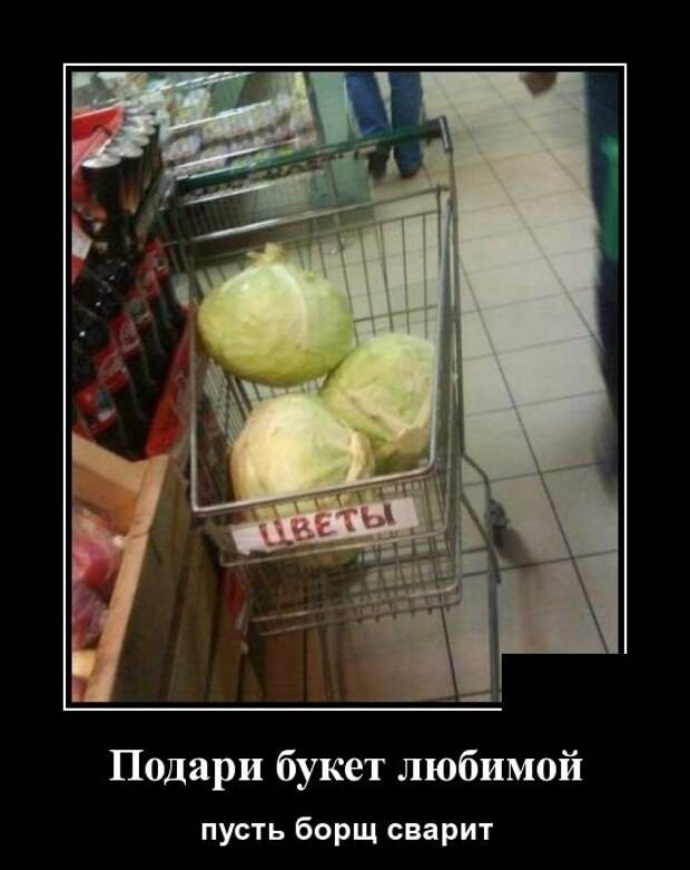 Демотиваторы (30 фото)
