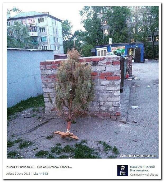 Комментарии из соцсетей