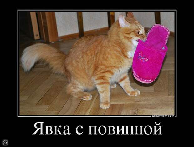 Бабье лето прошло! 2
