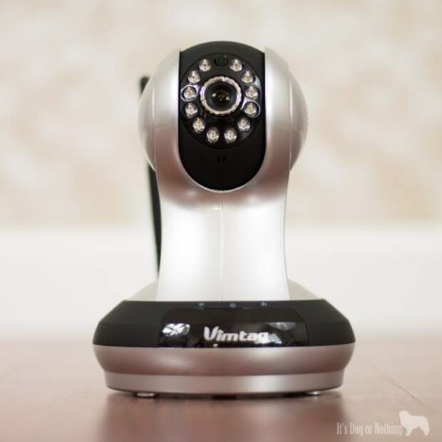 Are you worried about your dog during the day or simply curious as to how they spend their time? Click through to read why we prefer a Vimtag camera to keep track of our furbabies!
