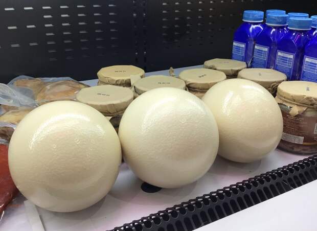 На KazanForum продали почти все яйца по 2000 рублей за штуку
