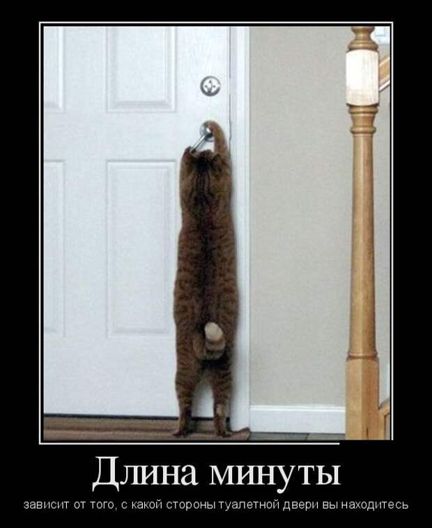 Демотиваторы (30 фото)