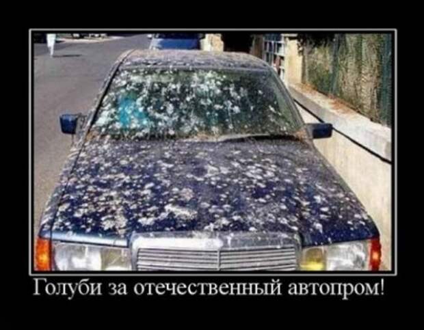 Демотиваторы свежие.