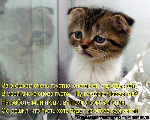 Мысли вслух - Ожидание Нового года