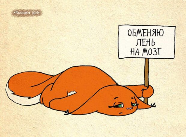 рыжая белочка крошка ши (22)
