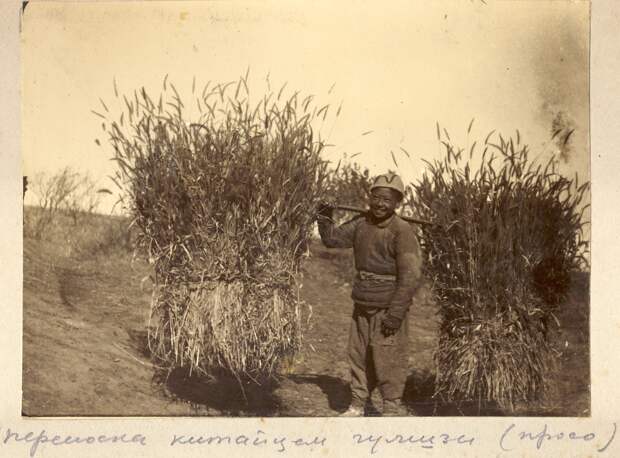 5 фактов о ватнике 0 9b328 358d49c8 XXXL 5 фактов о ватнике