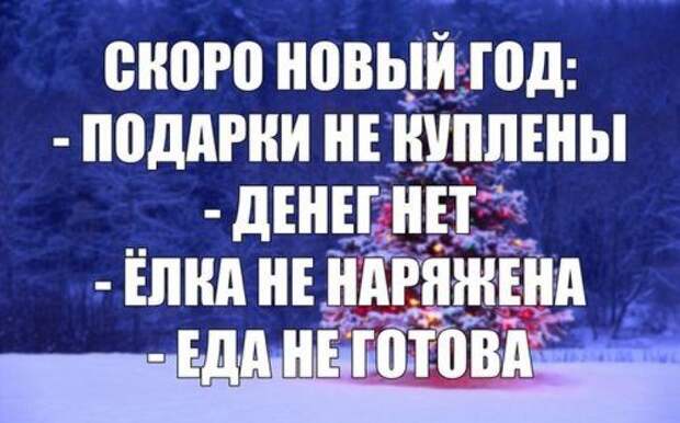 Фото-приколы и картинки