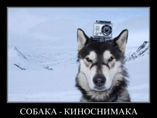 Демотиваторы приколы к выходным.