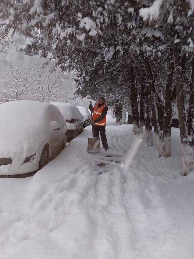 Возможно, это изображение (снег и дерево)
