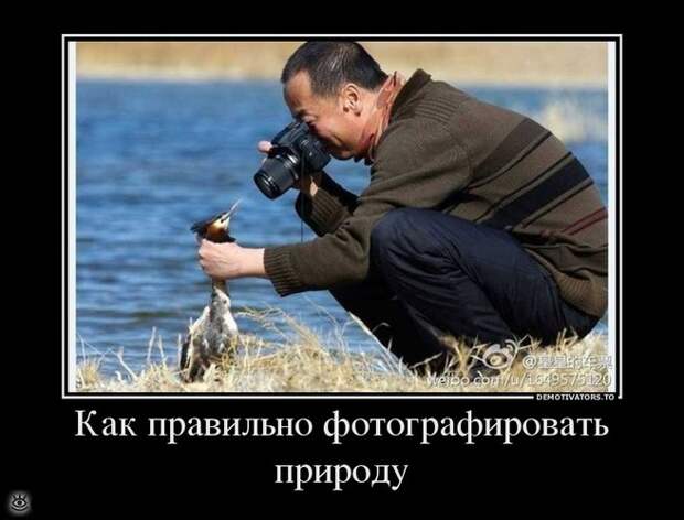 Спасибо женщинам за эволюцию! 44