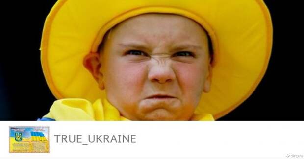 Украина объявила войну Нидерландам Украина объявила войну Нидерландам