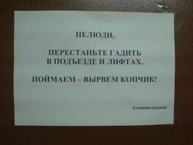 Прикольные объявления для соседей (50 фото)
