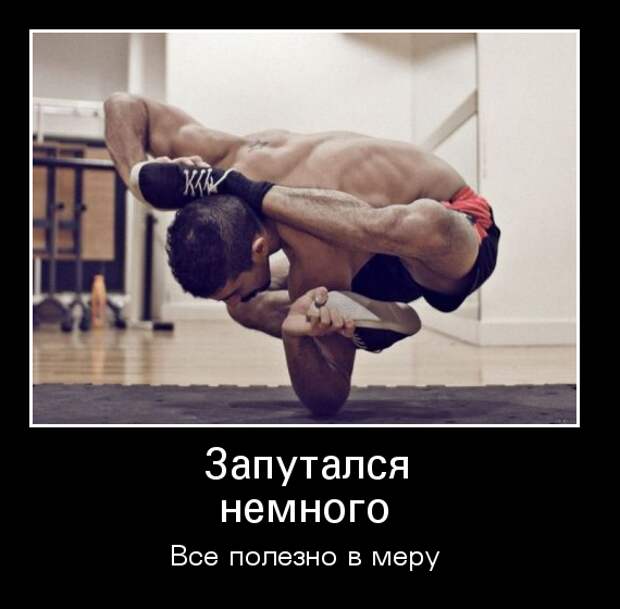 Демотиваторы демотиваторы, животные, прикол, юмор