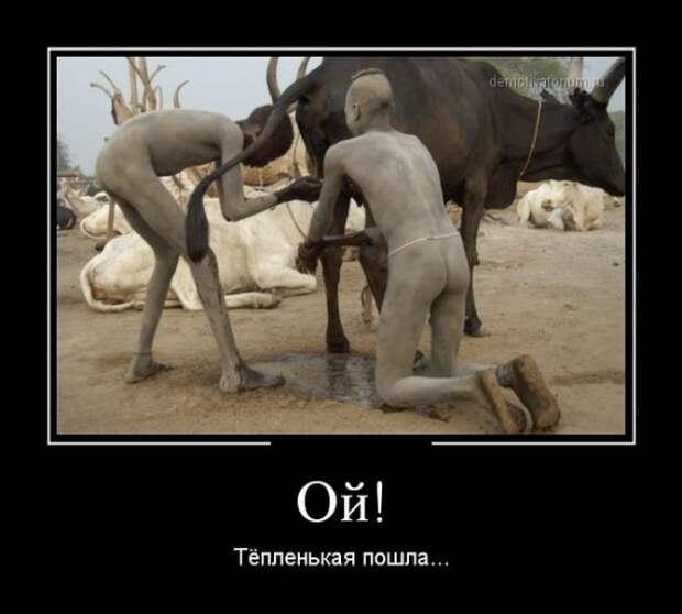 Обо всём.